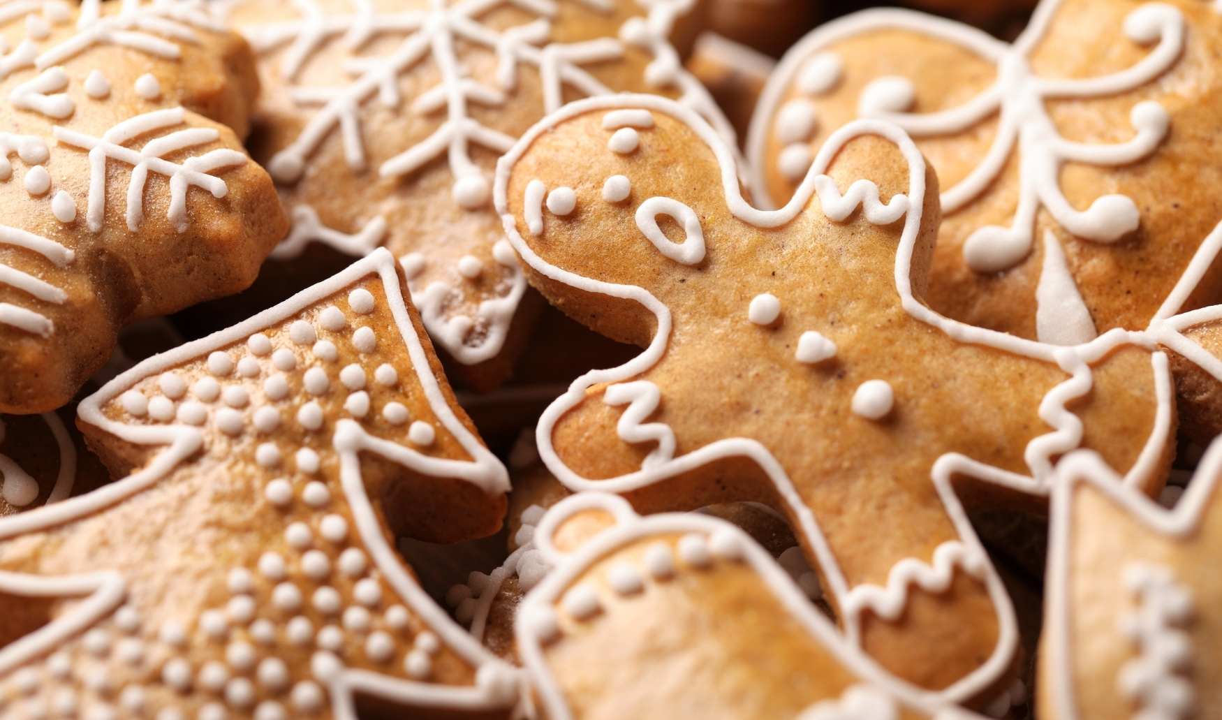 Biscotti Pan di Zenzero con Olio allo zenzero e mandarino Coppini Arte Olearia