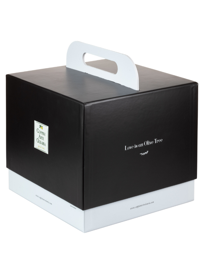 top 10 box - gift box